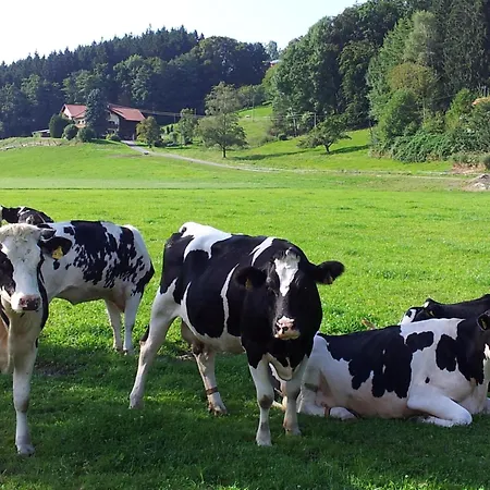 Zwischen Chiemsee Und Bergen Dg بيرناو ام شيمسي