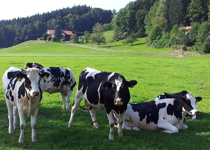 Apartmán Zwischen Chiemsee Und Bergen Dg *
